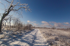 DCIM106GOPRO
